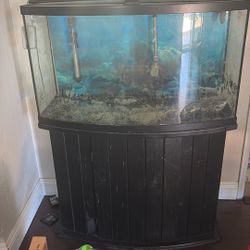 55 Gallon Aquarium With Stand And Fluval Pump 