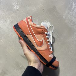 Orange Lobsters 
