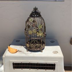 bird Cage 