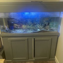 75 Gallon Fish Tank With Cabinet Stand 