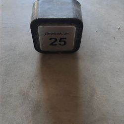 1 25lb And 1 35lb Dumbbell 