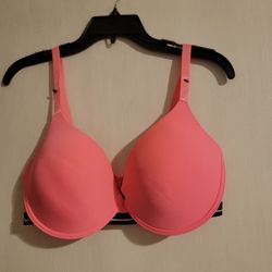 XOXO Corral Sexy Push Up Bra New