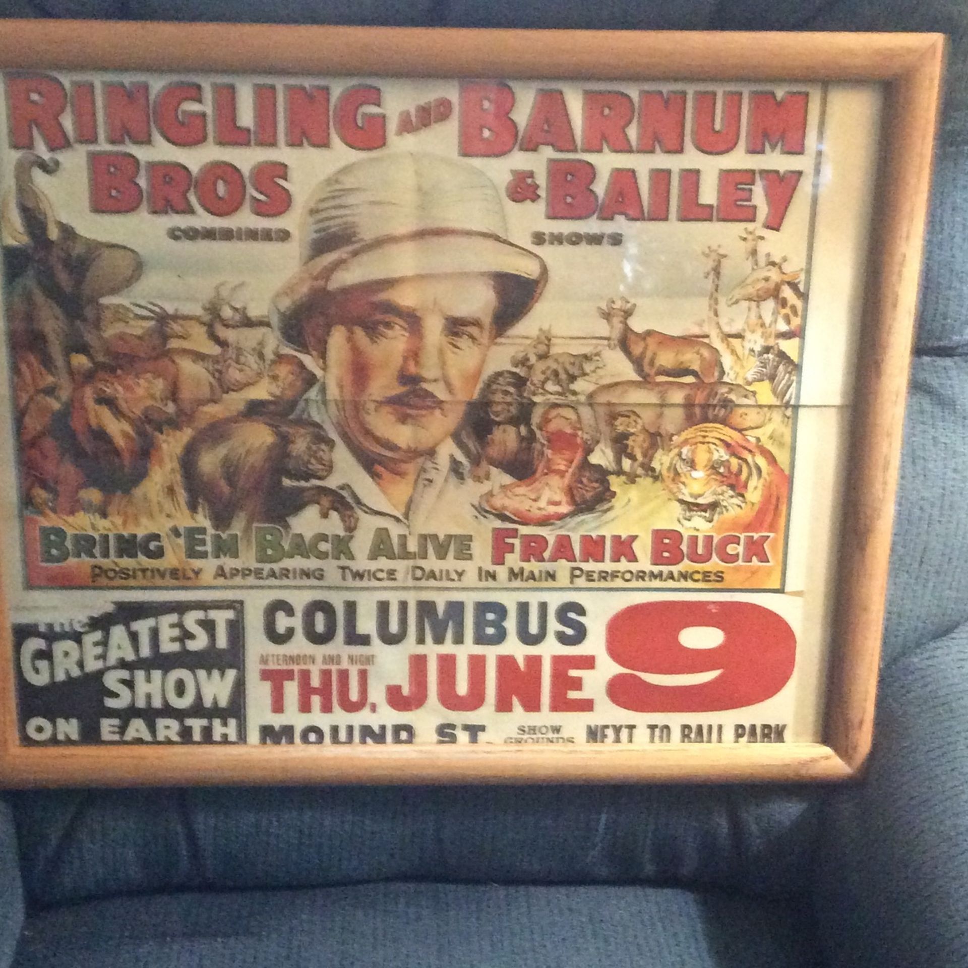 Tingling Bros And Barnum Bailey Poster