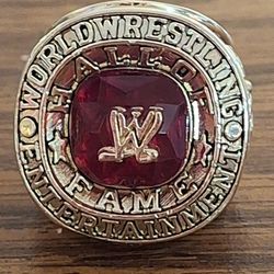 WWE Championship Ring 