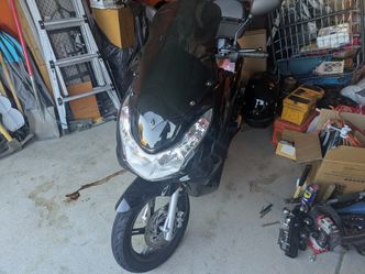2019 Icebear Trike Scooter