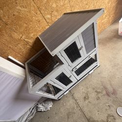 Cage For A Bunny 
