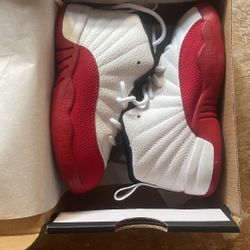 Jordan Retros 12’s