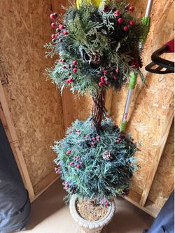 Small decorative trees