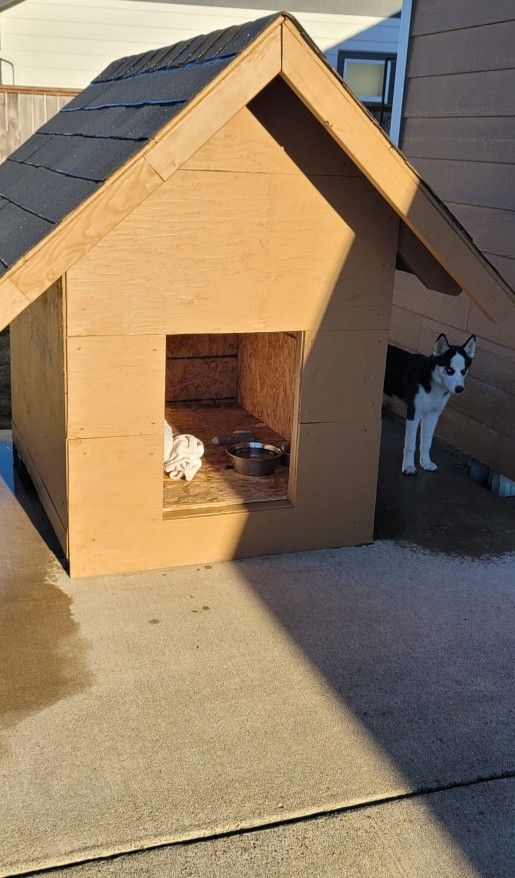 Dog House