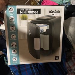Mini Fridge