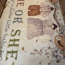 Backdrop For Baby Reveal