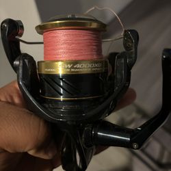 Shimano 4000 XG