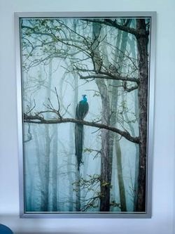 Large wall art 31*46” in the silver frame