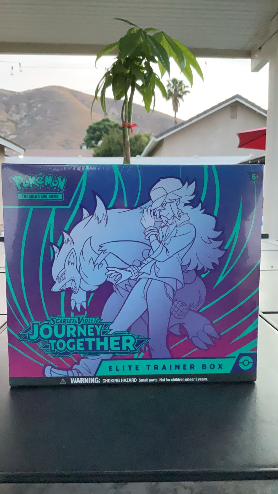 Pokemon Journey Together ETB