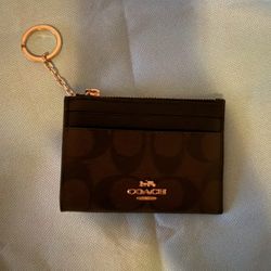 Coach Mini Skinny ID