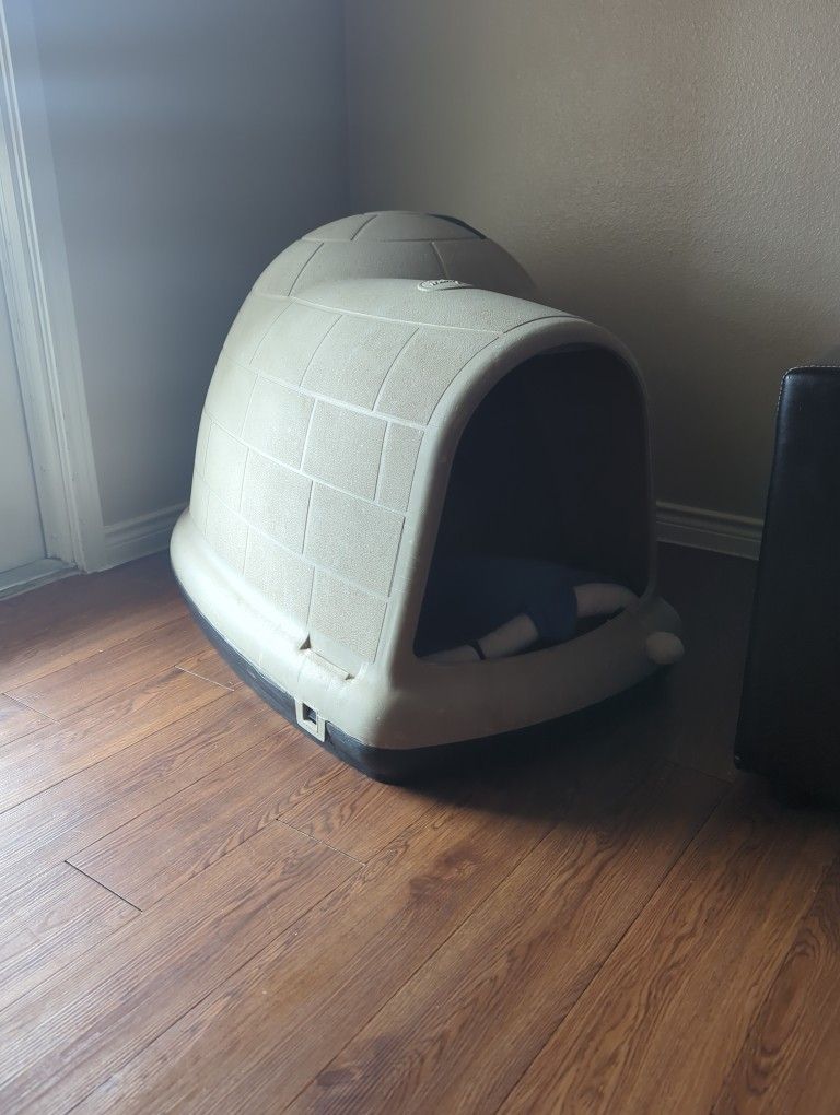 Dog House