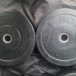 Rogue 45lbs Bumper  Weighs 