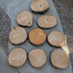 Rustic Wood Rounds Arizona Ash