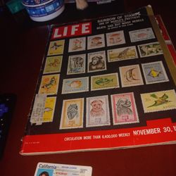 Magazine 
