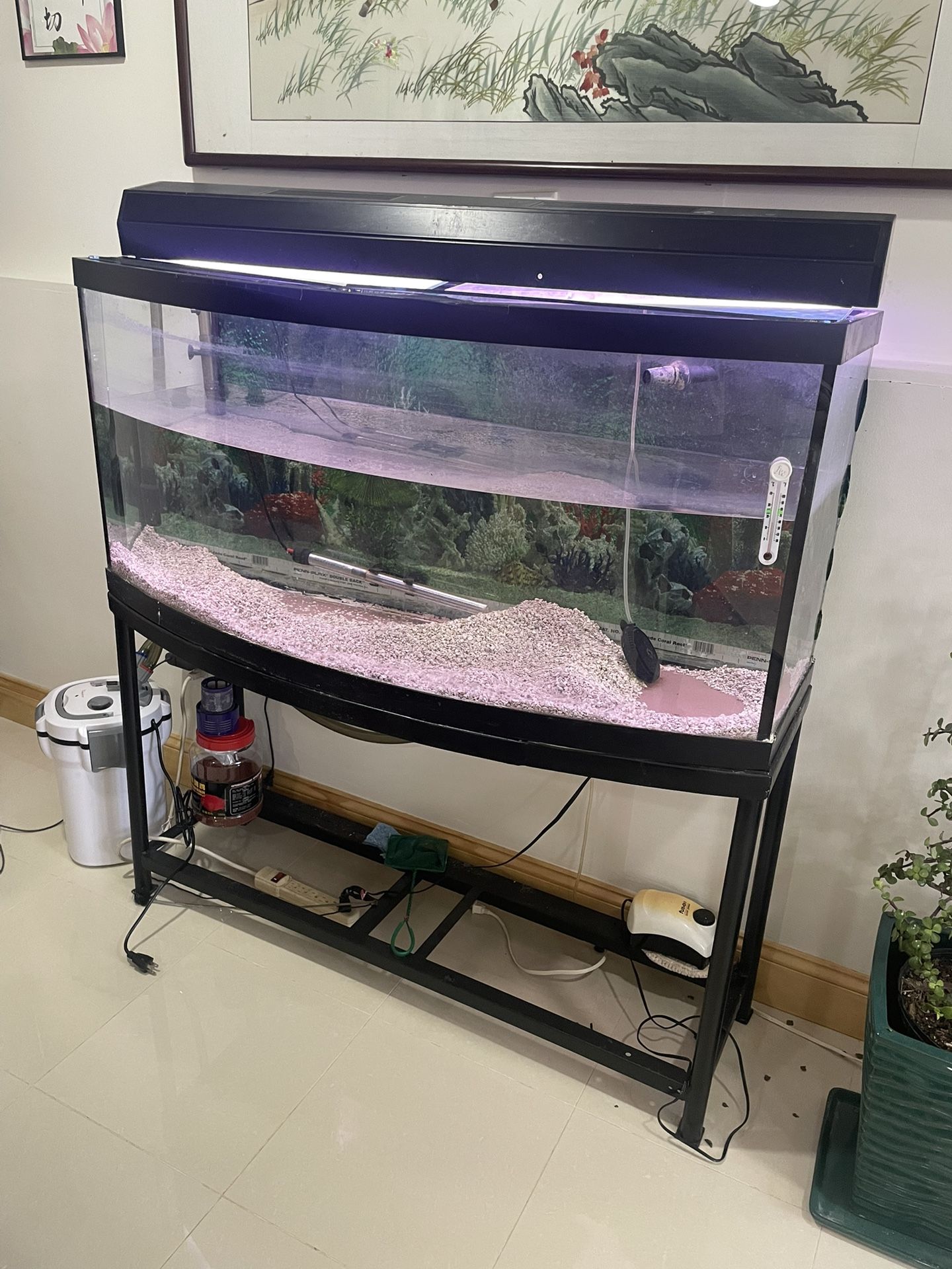 75 Gallon Fish Tank with Stand