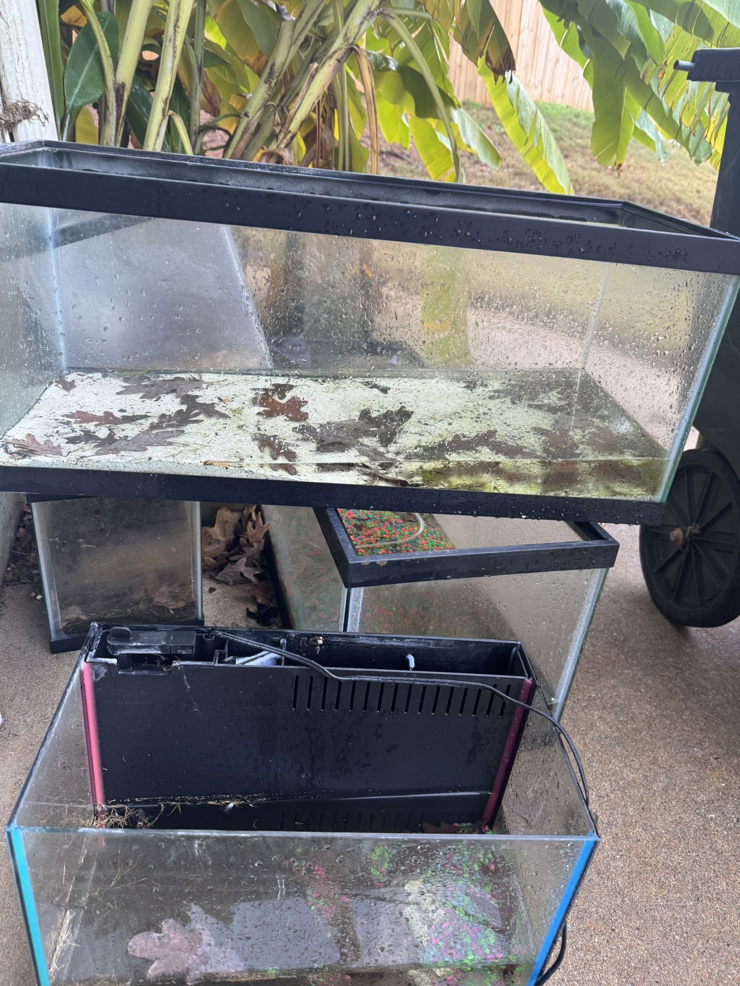 20 Gal Tank No Filter No Lid No Stand