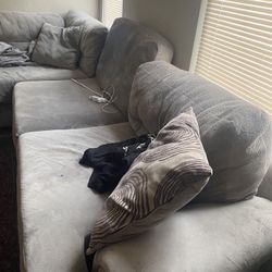 Gray Couch Section 