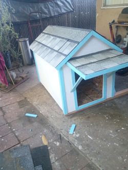 Large dog house