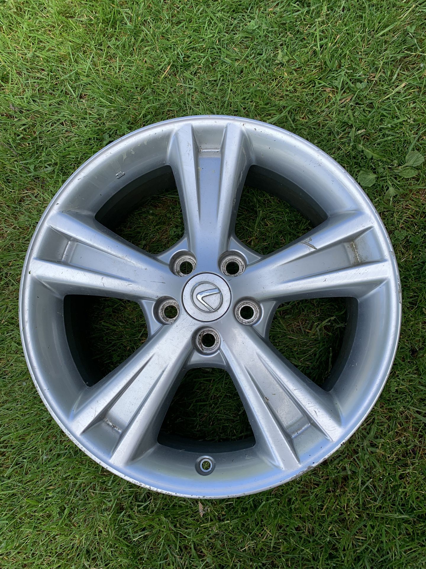 Lexus rim