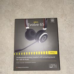 Professional Wireless  Headset 