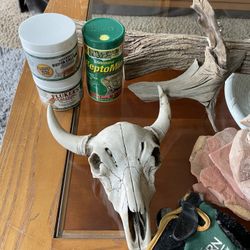 Various Reptile Items