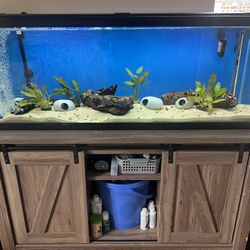 Aquarium Fish Tank 60 Gallons, Stand & Full Setup