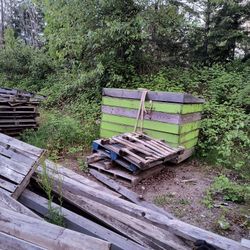 Free Wood