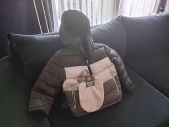 Grey puffer