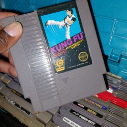 Kung Fu NES