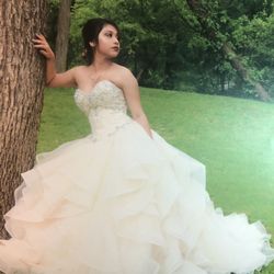 Quinceanera dress