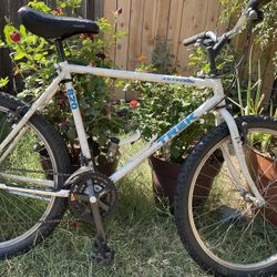 Trek Antelope 820 Mountain Bike