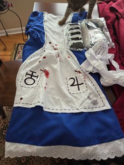 Alice madness cosplay