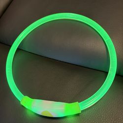 Dog Light Up Collar 