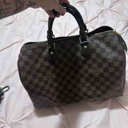 LV Speedy Bag 