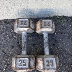 25 lbs dumbbells