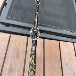 Fishing Rod And Reel In Good Condition PENN Asking $125!!obo