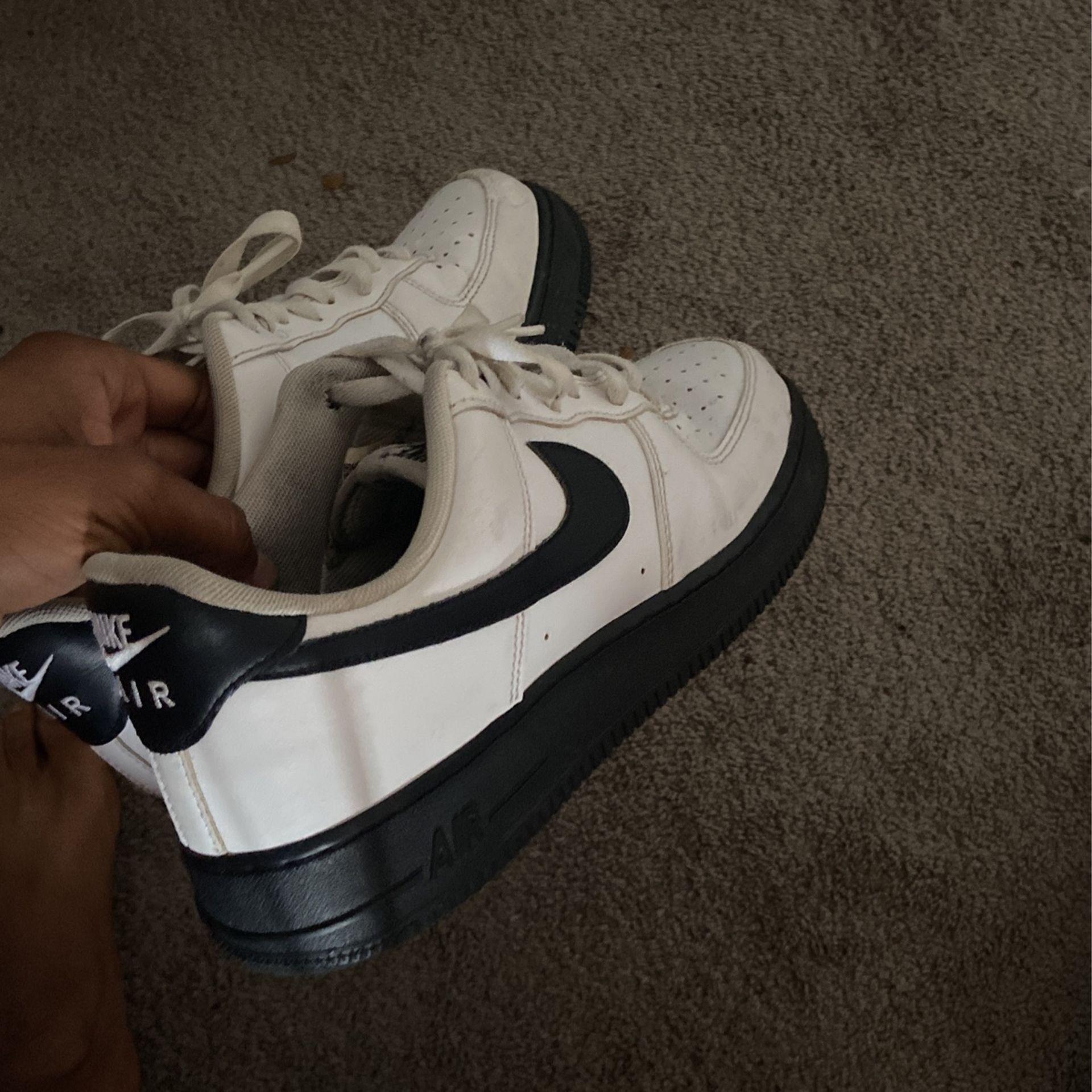 Black Gum Bottom Forces $55