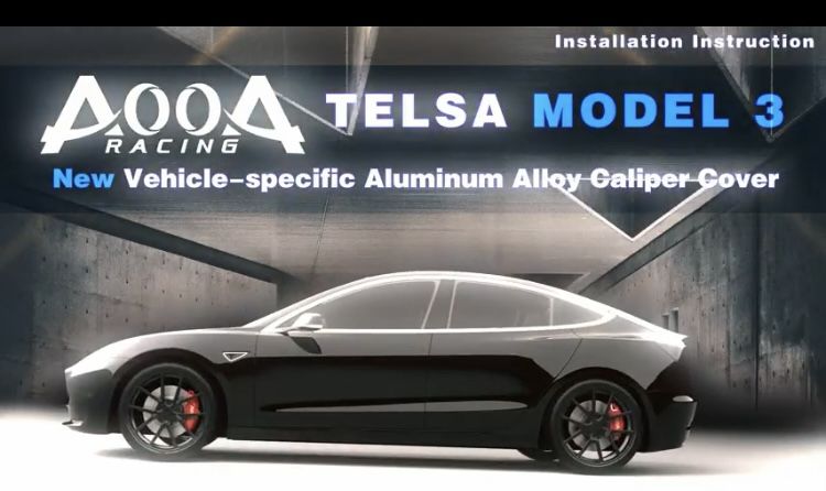 Tesla Model 3 Caliper Covers