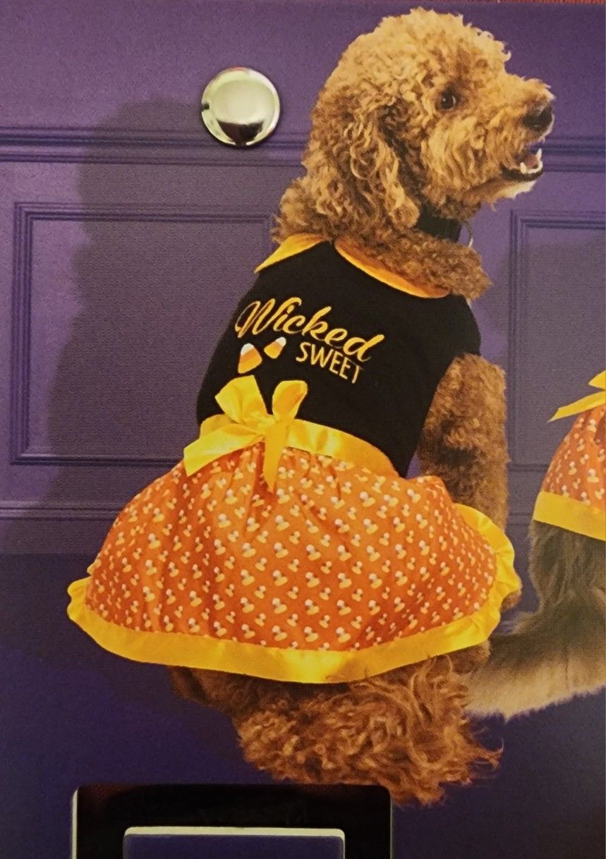 Boutique Wicked Sweet Candy Corn Pet Dress