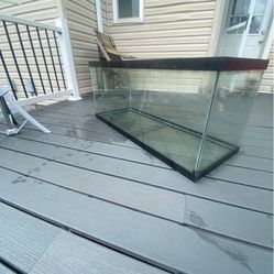 75 Gallon Aquarium Tank