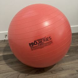 55cm Exercise Ball