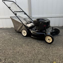 Lawn Mower (Just Serviced)