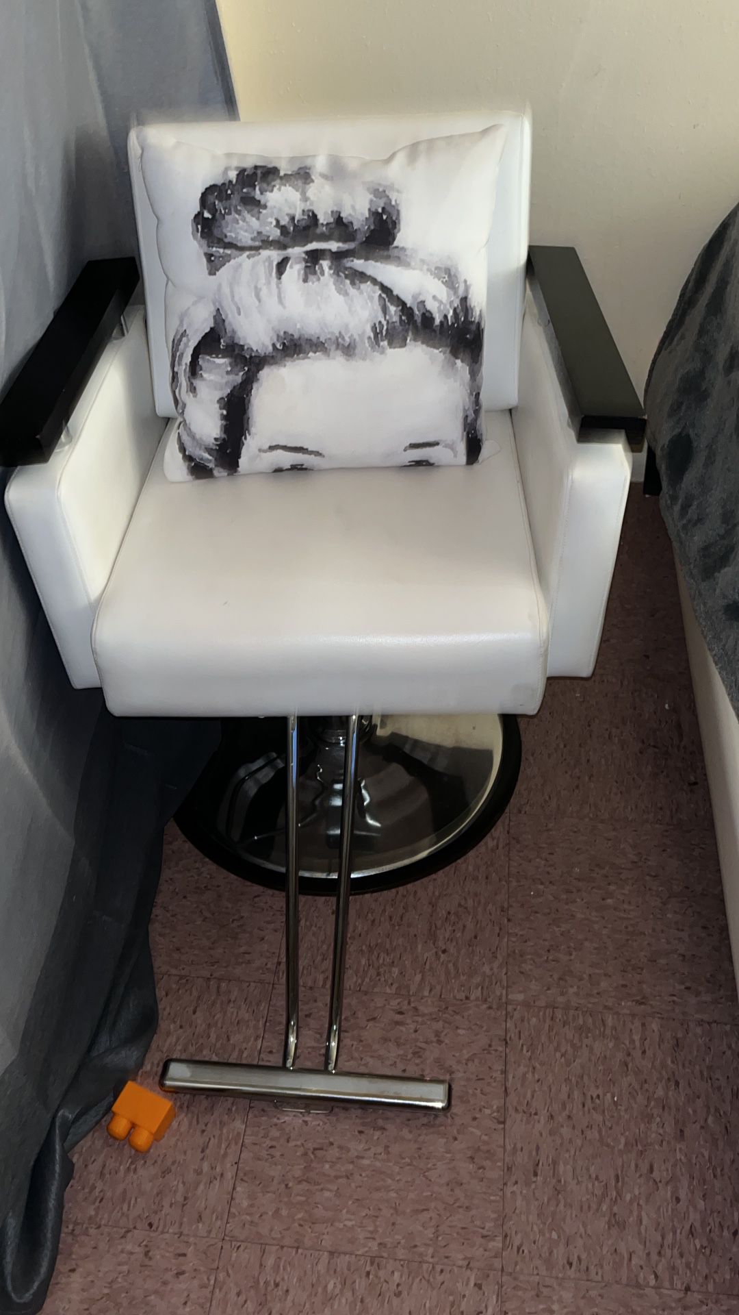 Hair Barber Chair 