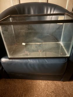 Fish Tank