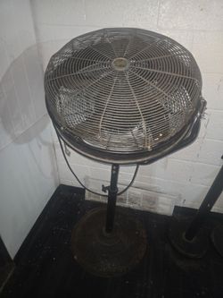 Standing in wall mounted fans